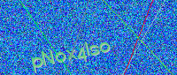 This is a CAPTCHA image; please enter the text you see in this image into the input box below